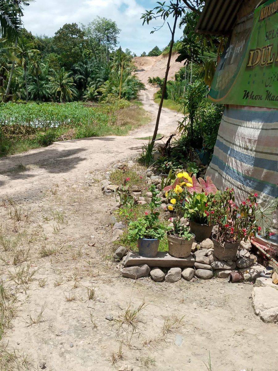 Lintas Warga, Mengharapkan Pembangunan jalan Sarana Usaha Tani Perkebunan wilayah Aek Milas Siabu Madina.