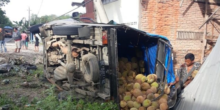 Supir Mobil Bak Angkutan Durian Tewas, Usai Tabrak Tiang Listrik Di Paluta !