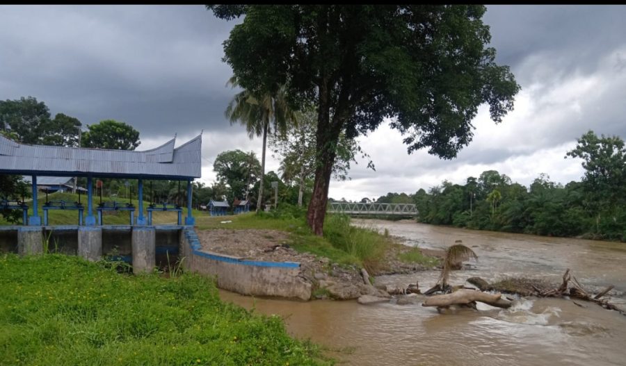 Aliran Sungai Batang Batahan Tercemar, Diduga Akibat Tambang Emas Ilegal di Silaping.