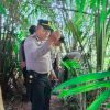 Komit Keseriuasan Berantas Narkoba, Satbinmas Polres Padangsidimpuan Seser Sejumlah Lokasi Diduga Lapak