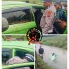 Terjatuh Ke Dalam Parit, Pengendara Dan Penumpang Minibus Meninggal Dunia