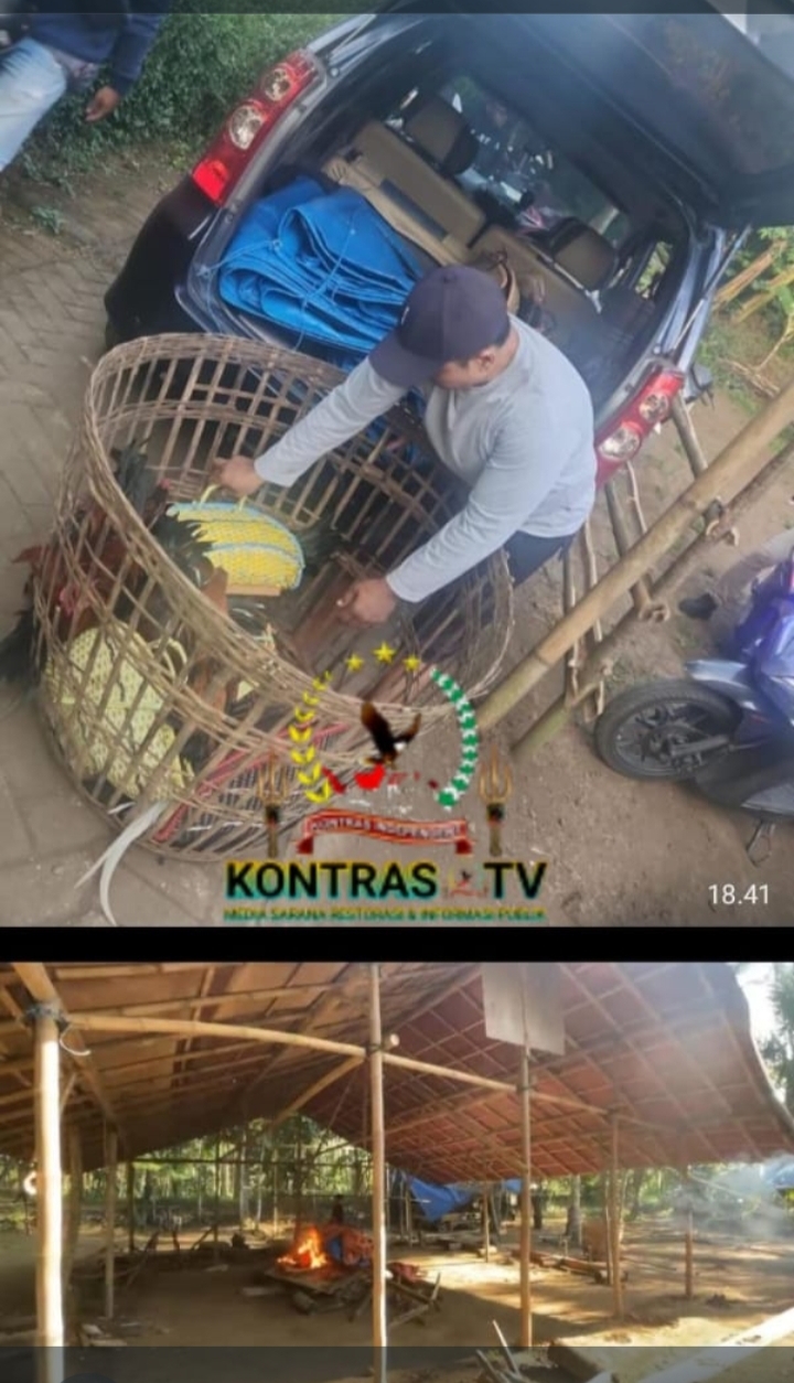Penjudi Sabung Ayam Ambil Langkah Seribu, Polisi Bakar Lokasi dan Sita Puluhan Motor