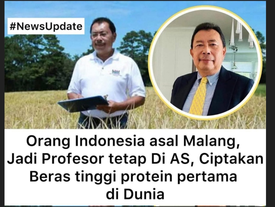 Profesor Asal Malang Ciptakan Beras Prote’in Tinggi di Amerika