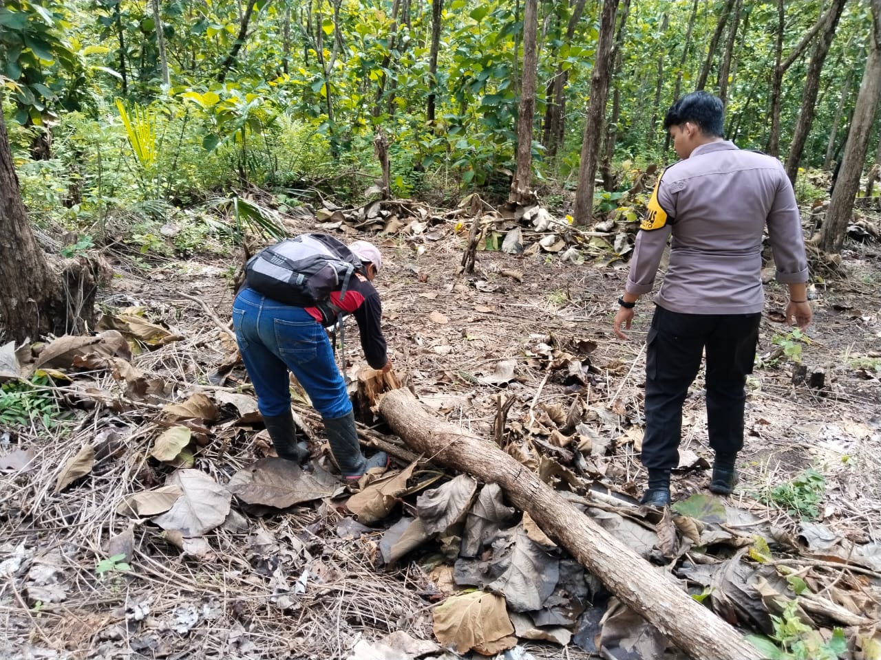 Tak Butuh Lama, Satreskrim Polsek Gedangan Bekuk Pelaku Perusakan Hutan