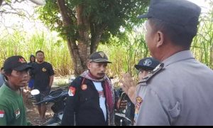 Konflik Penebangan Tebu Sukowilangun, Jurnalis Jadi Korban Penganiayaan dan Intimidasi