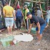 Idul Adha 1447 H Pimred Merpati Pos Adi Susanto Pimpin Kurban, Titip Pesan Untuk Wartawan: “Tajam Boleh, Tapi Harus Ikhlas, Penyembelihan 5 Kambing di Kantor Redaksi Jadi Momentum Perkuat Ukhuwah dan Integritas Insan Pers