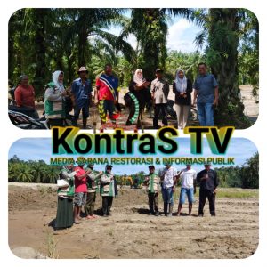 Lahan Sawah Terdampak Bencana di Tigo Nagari Mulai Pulih, Progres Perbaikan Capai 85 Persen