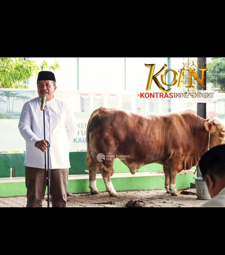 Bupati Asahan Saksikan Penyembelihan Sapi Bantuan Kemasyarakatan Presiden