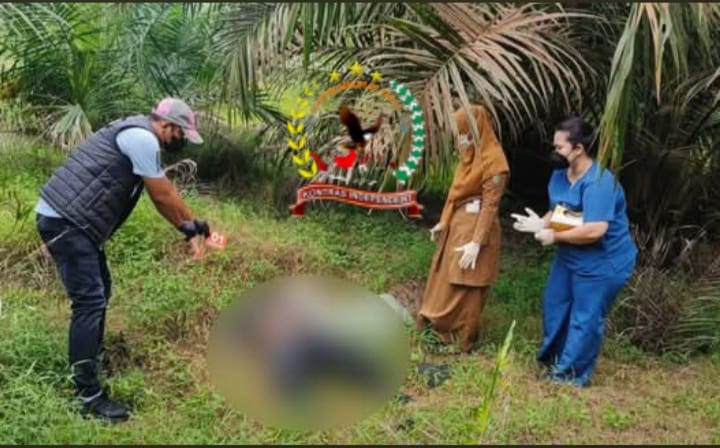 Mayat Pria Ditemukan Di Areal Perkebunan Sawit