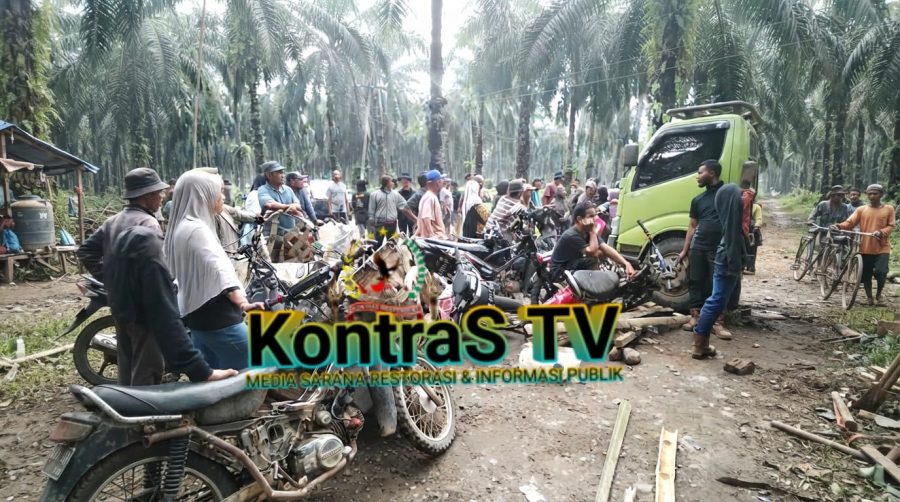 Konflik Lahan Ulayat Kinali Memanas: PT PAN Diduga Bersikap Arogan dan Tabrak Kendaraan Warga yang Hadang Jalan